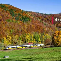 Pociąg mija jesienny las w Bielawie koło Wrocławia. Kolorowe drzewa i zielona łąka tworzą malowniczy krajobraz.