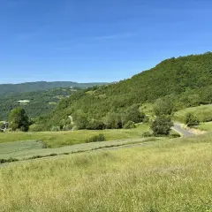 Un paesaggio verdeggiante con colline boscose e campi coltivati. Una strada serpeggia verso il passo della Cappelletta, Piacenza, sotto un cielo azzurro.