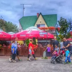 Rowy gdzie zjeść: najlepsze miejsca na świeże ryby i owoce morza