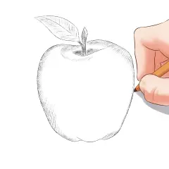 Mano dibujando una manzana con lápiz. Boceto de manzana con hoja, ideal para dibujos de para dibujar.