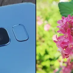 Zdjęcie oka jak pro? Makrofotografia smartfonem i aparatem
