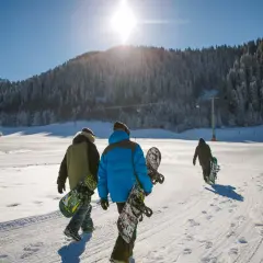 Trzech narciarzy idzie po śniegu z deskami snowboardowymi. Słońce świeci jasno nad ośnieżonym lasem. Idealny dzień na naukę jazdy na snowboardzie dla początkujących.
