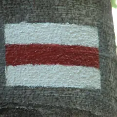 Niebieski szlak turystyczny namalowany na korze drzewa: biały, czerwony, biały pas.