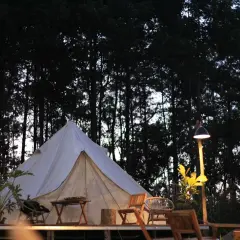 En vit glampingtält står uppsatt bland höga träd i skymningen. Utanför tältet finns sittmöbler och ett litet bord, redo för avkoppling. En lampa lyser upp området.