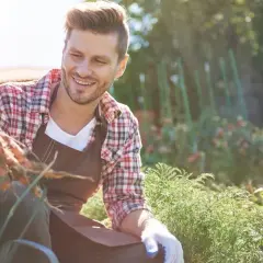 Kto może kupić działkę rolną? Sprawdź, jakie są warunki zakupu