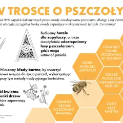 Lasy Państwowe budują hotele dla zapylaczy i udostępniają lasy pszczelarzom, pokazując, skąd się bierze królowa pszczół i jak chronić owady.