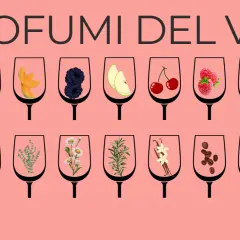 I profumi del vino: pere, banane, meloni, more, mele, ciliegie, lamponi, fiori, menta, camomilla, rosmarino, vaniglia, caffè, cannella, pepe. I vitigni aromatici offrono un'ampia gamma di sentori.