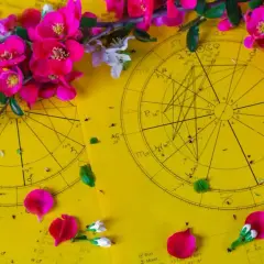 Kwiaty wiśni i płatki zdobią żółte wykresy astrologiczne, sugerując horoskop tygodniowy dla Byka.
