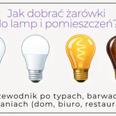 Różne rodzaje żarówek: LED filament, LED, tradycyjna żarówka z żarnikiem, żarówka dekoracyjna. Przewodnik po typach, barwach i zastosowaniach.