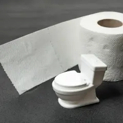 Miniaturowa toaleta i rolka papieru toaletowego symbolizują problem nietrzymania kału.