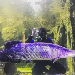 Oceanarium Zachodniopomorskie - Niezapomniane atrakcje w Międzyzdrojach