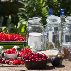 Owoce, cukier, alkohol i słoje – wszystko gotowe, by dowiedzieć się, jak się robi nalewki.
