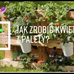 Jak zrobić kwietnik z europalety? Poradnik DIY krok po kroku