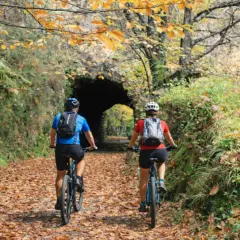Ciclistas pedalean por la senda del oso Asturias, cubierta de hojas otoñales, hacia un túnel natural.