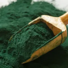 Czy spirulina odchudza? Odkryj prawdę o jej skuteczności w diecie