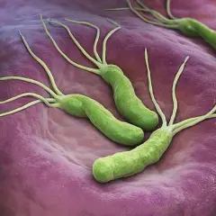 H. pylori w ustach: objawy, diagnoza i leczenie | Poznaj związek