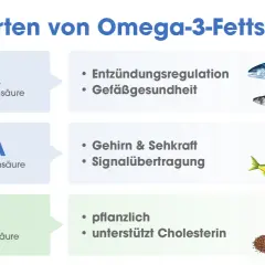 Drei Omega-3-Fettsäuren: EPA für Entzündungen, DHA für Gehirn & Sehkraft, ALA pflanzlich. Was ist DHA? Wichtig für Gehirn und Augen.