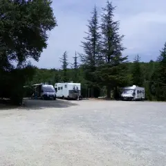Aire de camping-car dans les Gorges du Verdon. Plusieurs camping-cars stationnés sous les arbres, prêts pour l'aventure.