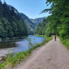 Rowerzystka przemierza malowniczą trasę velo dunajec w otoczeniu gór i lasów.