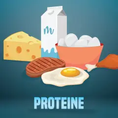 Ein Berg aus Käse, Steak, Spiegelei, Hühnerbein, Milch und Eiern – das ist zu viel Eiweiß!