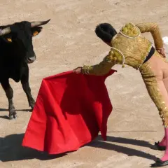 Czy corrida jest zakazana w Hiszpanii? Sprawdź kontrowersje prawne