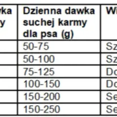 Ile mokrej karmy dla psa? Klucz do zdrowia i idealnej wagi!