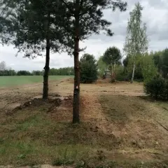 Jak wykarczować działkę: proste kroki do efektywnego oczyszczenia terenu