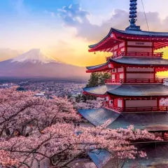 Japonia wycieczka Itaka: Czerwona pagoda i kwitnące wiśnie na tle góry Fudżi o zachodzie słońca.