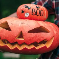 Zucca intagliata con faccia spaventosa e una più piccola sopra con simboli di Halloween in inglese: pipistrello, ragno e la scritta "BOO".