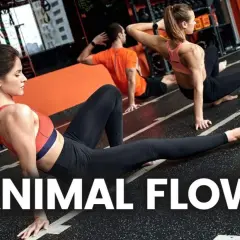 Trzy osoby ćwiczą w siłowni, wykonując ruchy inspirowane **animal flow**.