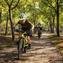 Dzieci na rowerach przemierzają leśną ścieżkę, odkrywając jedne z najpiękniejszych tras rowerowych w Polsce.