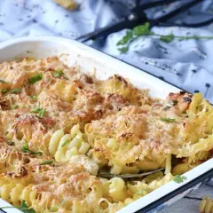 Gratin de pâtes au poulet et à la béchamel, doré et gratiné, garni de persil frais.