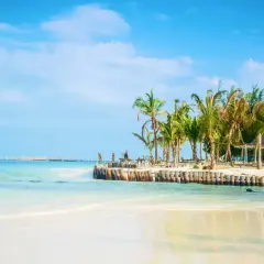 Piękna plaża z palmami i drewnianym molo. Zastanawiasz się, ile się leci na Zanzibar? To raj na ziemi!