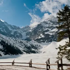Zimowy krajobraz nad Morskim Okiem. Śnieżne szczyty górskie, zamarznięte jezioro i samotna choinka. W oddali widać ślady po lawinie.