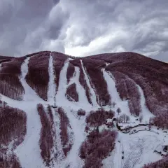Piste innevate sul monte Zum Zeri, con alberi spogli e cielo nuvoloso.