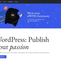 WordPress czy HTML - co wybrać, aby uniknąć problemów z projektem?