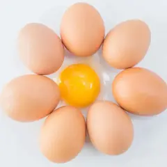 Sieben braune Eier sind kreisförmig angeordnet, mit einem aufgeschlagenen Ei in der Mitte. Ein Ei hat etwa 6 Gramm Protein.