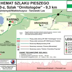 Twój przewodnik: Kajaki Wielkopolska. Trasy, ceny, porady!