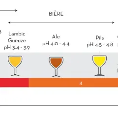 Échelle de pH montrant des boissons acides comme le vinaigre et le vin, puis des bières, du café, et enfin l'eau pure (hco3 eau) à pH neutre 7.