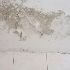 Schimmel und abblätternde Farbe an der Wand im Keller. Was tun bei feuchtem Keller?