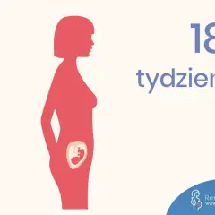 Ilustracja pokazuje sylwetkę kobiety w ciąży, z widocznym dzieckiem w brzuchu. Obok widnieje napis "18 tydzień".