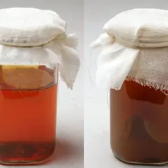 Två glasburkar med egen kombucha, täckta med tyg. Den vänstra burken har en ljusare vätska och synliga bubblor, medan den högra har en mörkare färg.