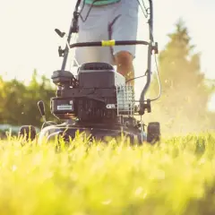 Osoba kosi trawę kosiarką ręczną rotacyjną. Słońce przebija się przez drzewa, tworząc ciepłą atmosferę.