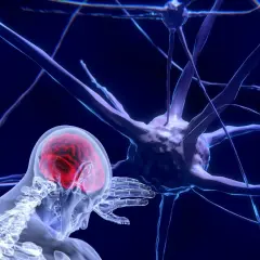 Rehabilitacja neurologiczna: Jak skutecznie odzyskać sprawność?