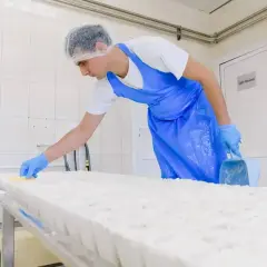 Pracownik w czepku i fartuchu, w rękawiczkach, wykonuje pracę na akord, zbierając łopatką białą masę z długiego stołu.