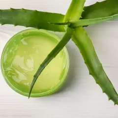 Zielony żel aloesowy w słoiczku, obok świeżych liści aloesu. Idealny aloes na rany i podrażnienia skóry.
