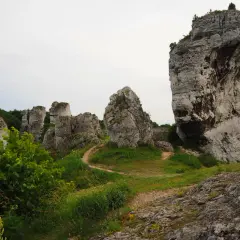 Skały wapienne na wyżynie krakowsko-częstochowskiej, z ruinami zamku w tle.
