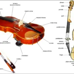 Jak sekundować na skrzypcach: proste techniki, które musisz znać