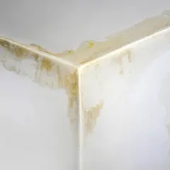 Angolo di un muro con evidenti macchie di umidità e muffa gialla che scende verso il basso, segno di infiltrazioni.