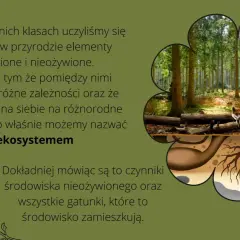 Co to jest szata roślinna i dlaczego jest kluczowa dla ekosystemu?